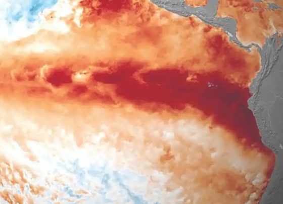 El Niño pode ser o mais intenso já registrado desde o século 19, estima serviço meteorológico internacional
