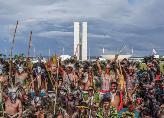 Eleições de 2026 registram recorde de candidaturas indígenas