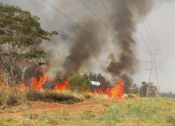 Energisa orienta população sobre os riscos do uso do fogo em vegetação