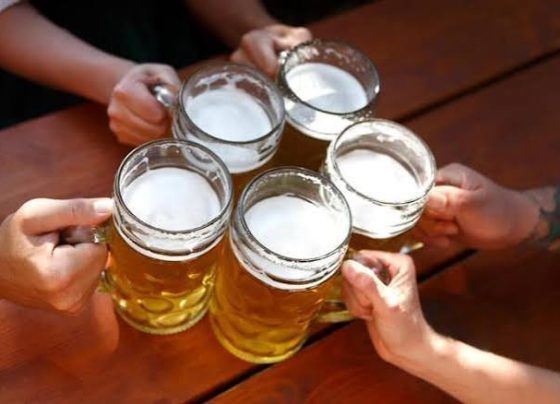 Entenda como a cerveja movimenta o agronegócio brasileiro