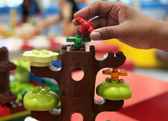 Especialistas destacam os benefícios de brincar com blocos de montar