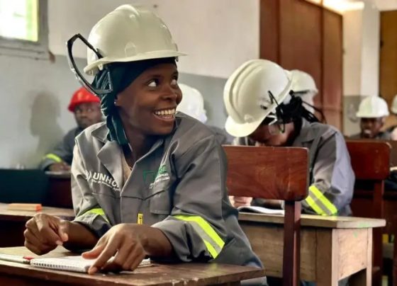 Experiência brasileira do MEI é referência para agenda de formalização em Moçambique
