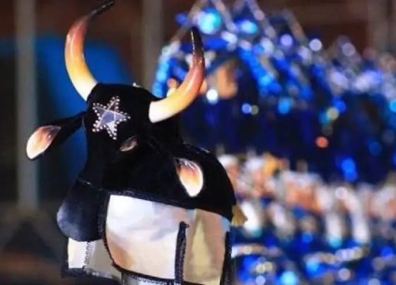 Exposição sobre Parintins apoiada pelo Sebrae bate recorde de público no Rio de Janeiro