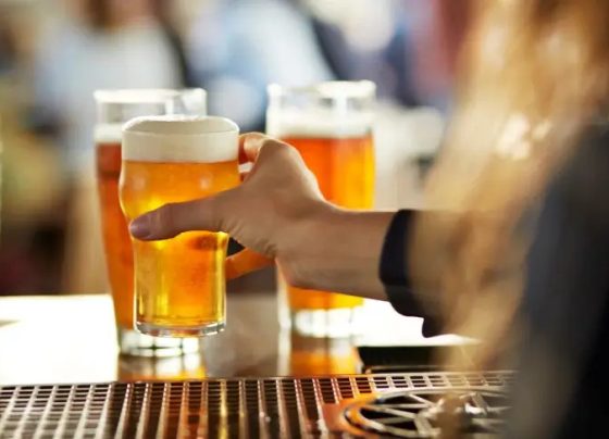 Guarapuava conquista primeira Indicação Geográfica nacional para cervejas artesanais