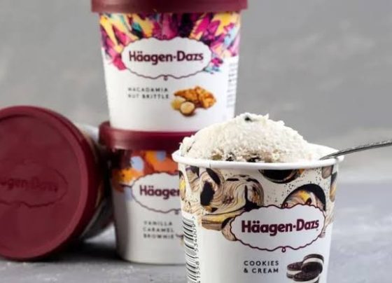 Häagen-Dazs: famosa marca norte-americana de sorvetes deixa de operar no Brasil após quase 30 anos