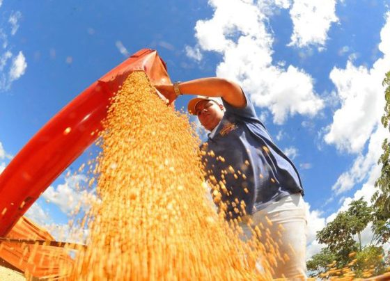 IBC-Br recuou 0,6% em junho, diz Banco Central