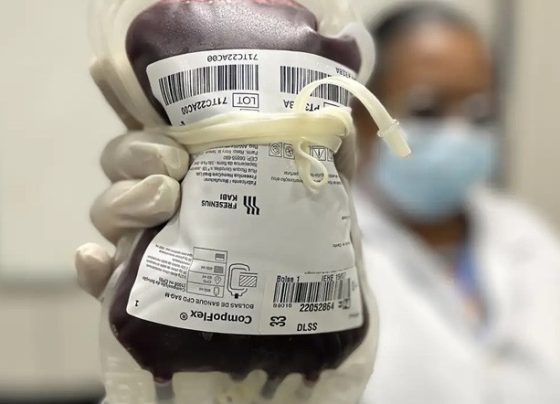Lei cria Junho Vermelho para incentivar doação de sangue