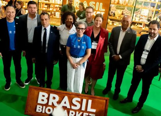 Loja Brasil BioMarket abre espaço para negócios da bioeconomia no Maranhão