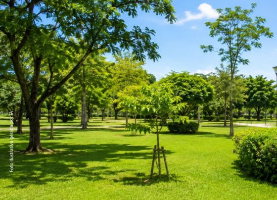 MPSE aciona Poder Judiciário para anular sentença e devolver área de praça ao Município de Aracaju