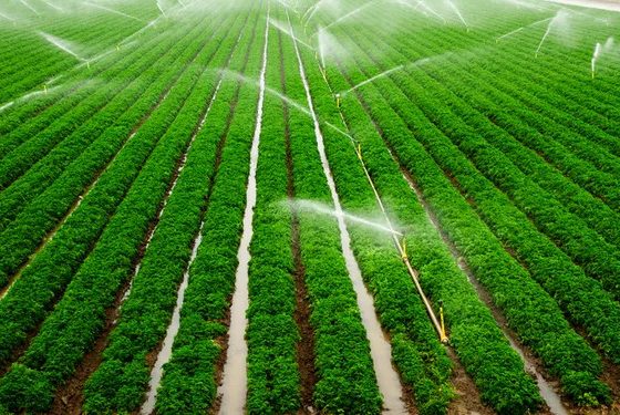 Mudanças climáticas culminarão em mais irrigação no Brasil