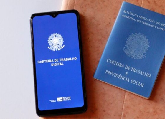 No Brasil, população ocupada chega a 103,3 milhões, registrando maior nível da série histórica