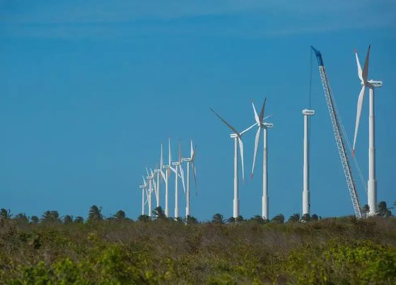 Projeto mapeia caminhos para economia verde no Nordeste