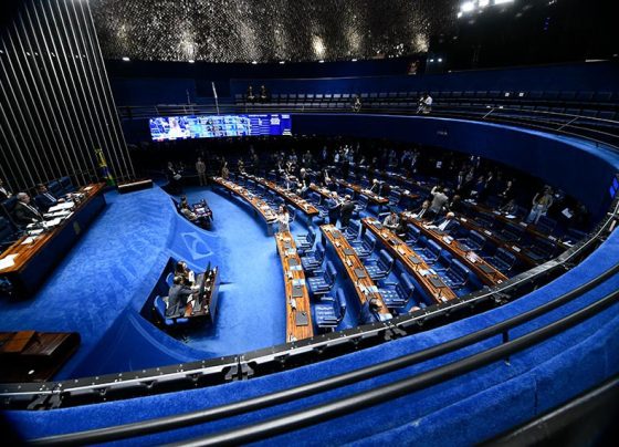 Quem disputa o Senado em 2026: confira perfil, partidos e distribuição pelo país