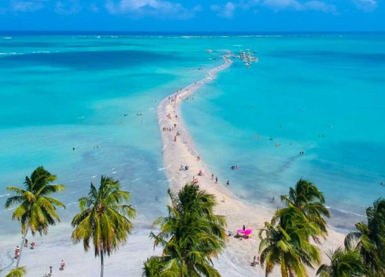 Região Nordeste lidera crescimento turístico do Brasil