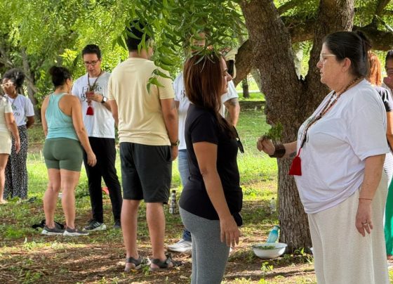 Roda de benzimentos acontece neste domingo no Parque da Sementeira