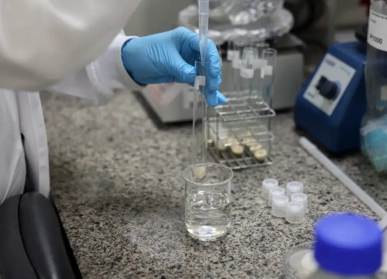 SBPC convida candidatos a governador a se comprometerem com a ciência
