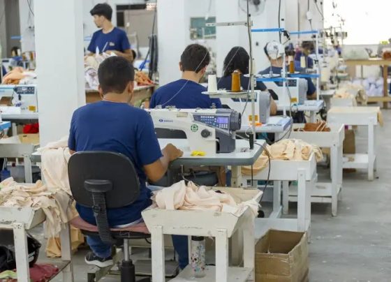 Sebrae e Apex querem ampliar inserção de pequenos negócios no mercado internacional