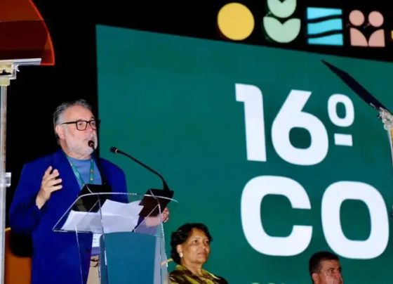 Sebrae reforça parceria com cooperativas para ampliar crédito aos pequenos negócios