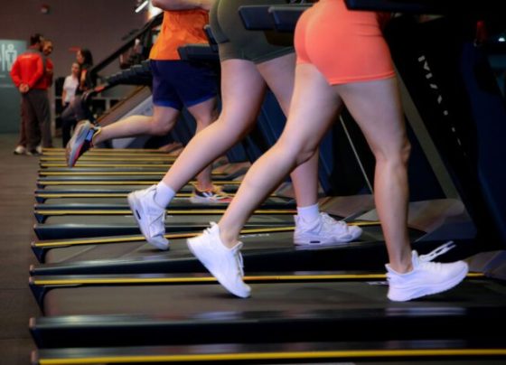 Sedentarismo avança e já impacta hormônios e metabolismo da população