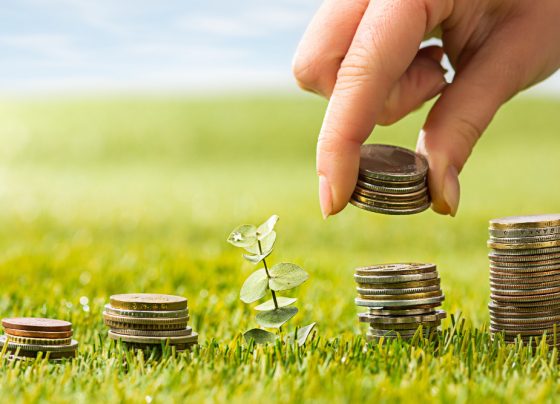 Sicredi avança no crédito para Economia Verde em Sergipe em um ano