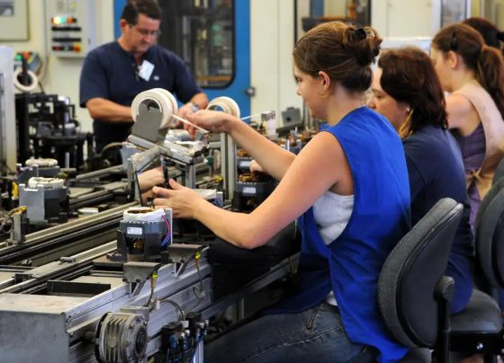 Transparência salarial: empregadores devem atualizar dados até segunda