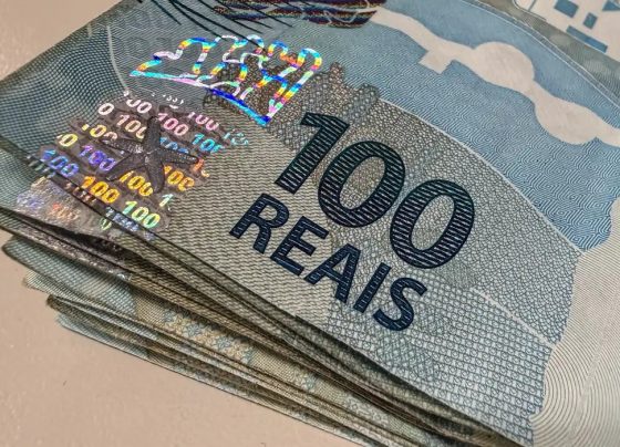 Vendas do Tesouro Direto registram melhor julho da história