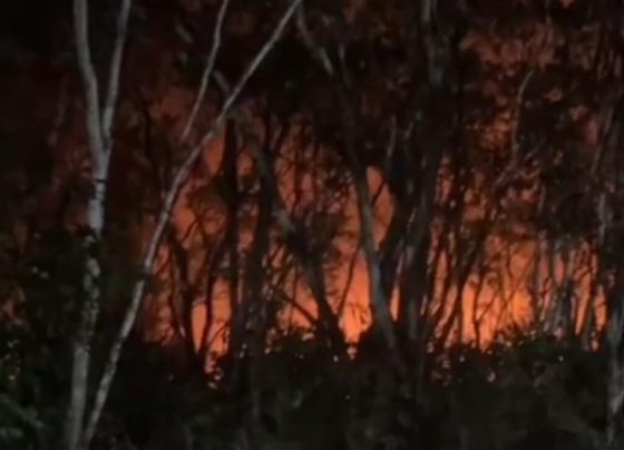 BOMBEIROS COMBATEM UM INCÊNDIO EM VEGETAÇÃO NOS FUNDOS DO HOSPITAL AMPARO DE MARIA, EM ESTÂNCIA