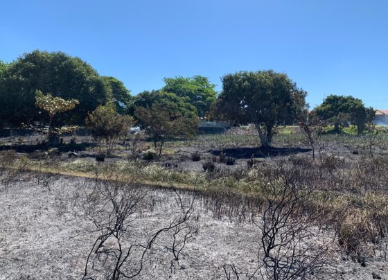 CBM combate incêndio em vegetação provocado por queima de lixo em Socorro