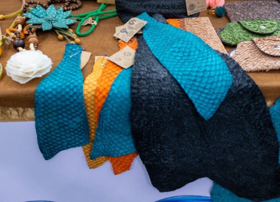 Da Feira do Empreendedor para a SPFW: couro de peixe paranaense ganha projeção nacional