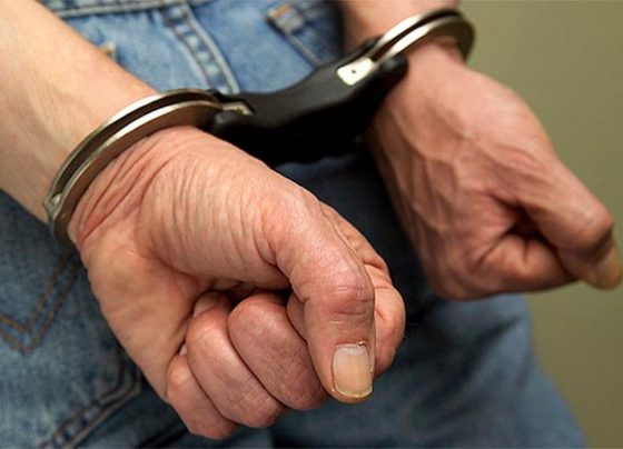 Depama prende em flagrante homem suspeito de praticar zoofilia contra cachorro em Aracaju