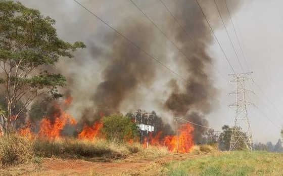 Distribuidoras de energia alertam para queimadas