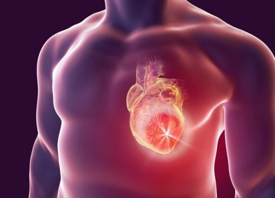 Doenças cardiovasculares podem ser prevenidas em até 80% dos casos, alerta cardiologista