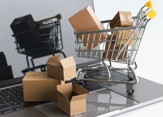 E-commerce ganha mais de 20 milhões de consumidores e amplia oportunidades a pequenos negócios