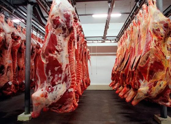 Embargo da União Europeia a produtos animais afeta US$ 1,84 bilhão em vendas do Brasil