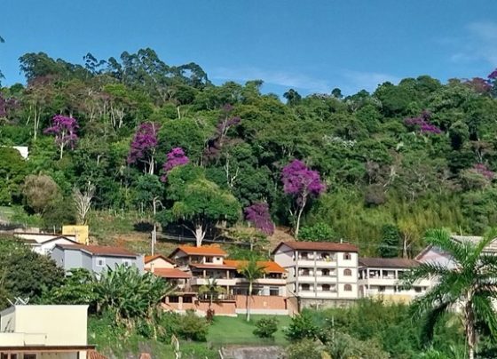Estudo aponta que 57% da população vive em apenas 15% do território brasileiro
