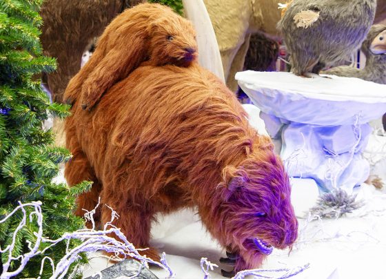 Exposição “Gigantes do Gelo” promove visitas guiadas no fim de semana