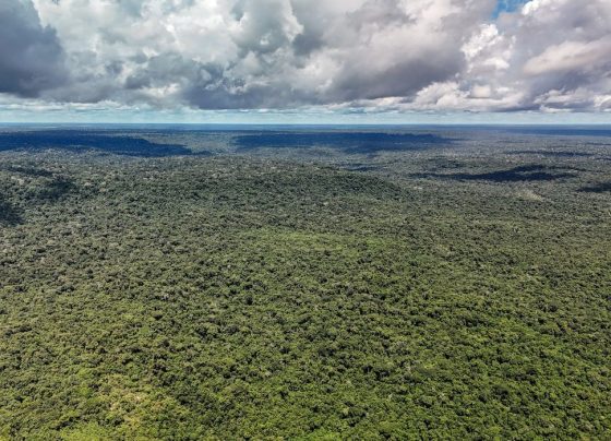 Fazenda autoriza crédito de US$ 1 bilhão do BID para Eco Invest Brasil