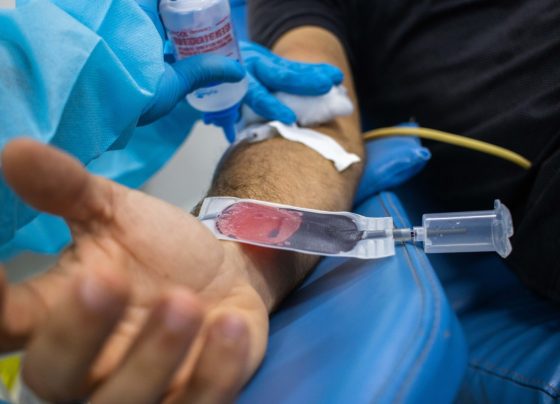 Hemose promove palestra sobre atualização das normas da hemoterapia nesta quinta-feira, 3