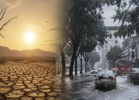 Intensidade do Super El Niño deverá dividir o Brasil entre excesso de chuva e de seca
