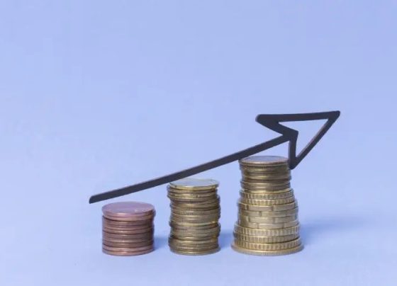 Livro gratuito orienta pequenos negócios para melhores escolhas sobre financiamentos