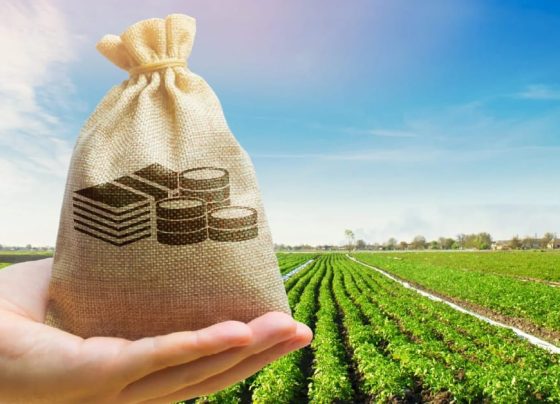 Mercado de seguro rural recuou quase 5% no 1º semestre de 2026