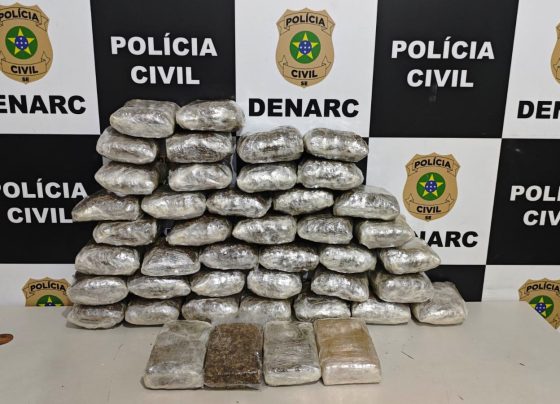 Mulher é presa com mais de 24 kg de maconha ao desembarcar em Aracaju