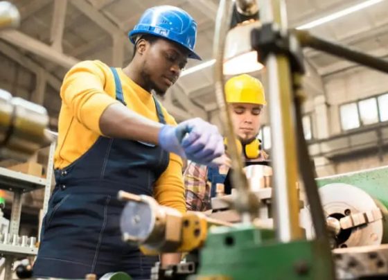 Oito em cada 10 empregos em julho foram gerados por micro e pequenas empresas