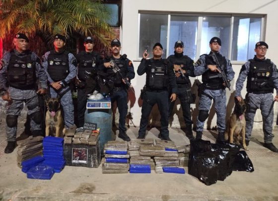 PM apreende 100 kg de maconha no povoado Mussuca, em Laranjeiras