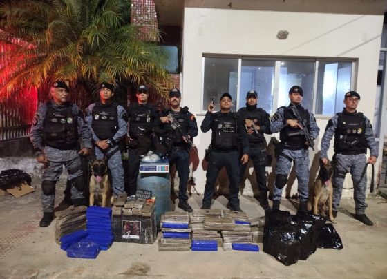 PMSE apreende cerca de 100 quilos de maconha em Laranjeiras