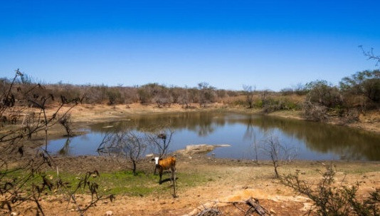 Poço Verde tem situação de emergência reconhecida pelo Governo Federal