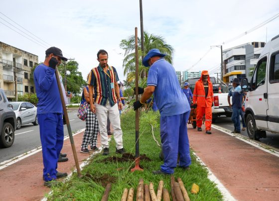 Prefeita de Aracaju anuncia plantio de centenas de árvores nas avenidas Hermes Fontes e Euclides Figueiredo
