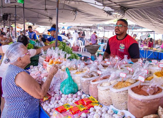 Prefeitura de Aracaju antecipa as feiras livres devido às eleições