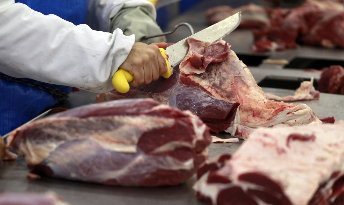 Proteína durante o emagrecimento: por que a recomendação de “comer mais proteína” nem sempre é simples