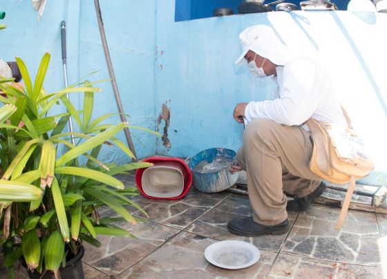 Quinto LIRAa do ano identifica um município com alta infestação do Aedes